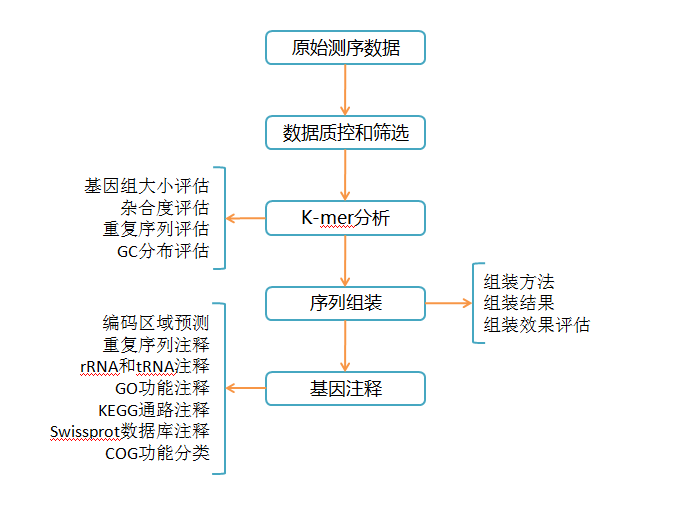 測序流程圖