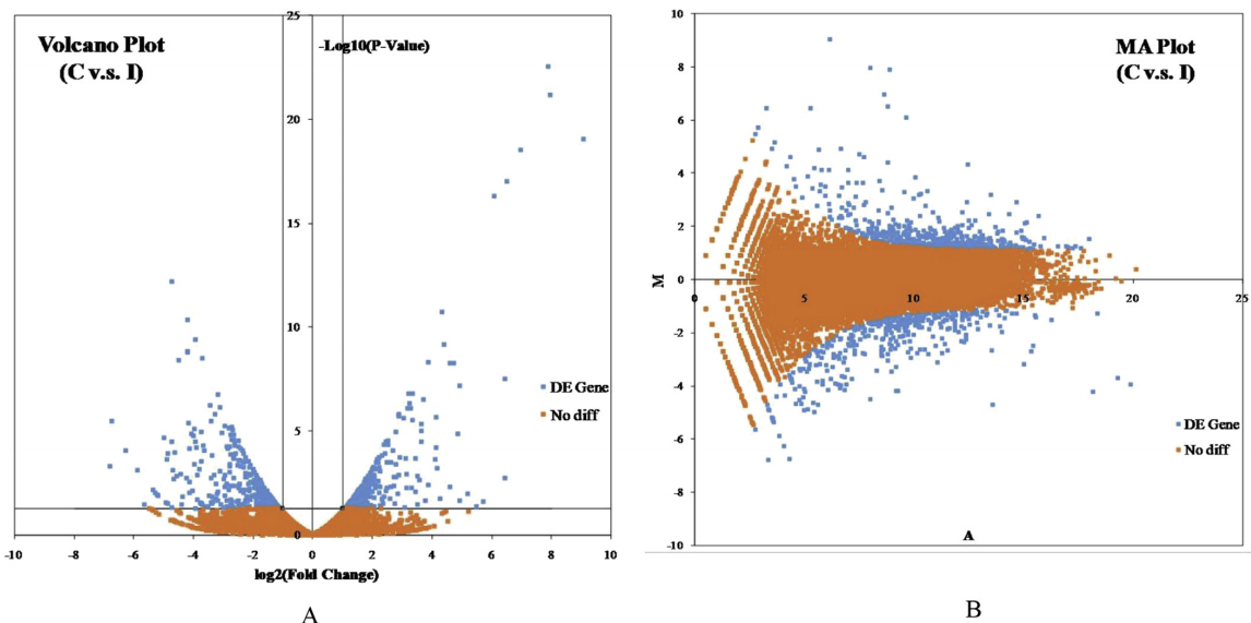 差異基因的火山圖與MA圖