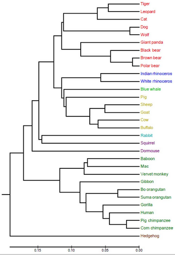 動物線粒體全基因組測序之進化分析