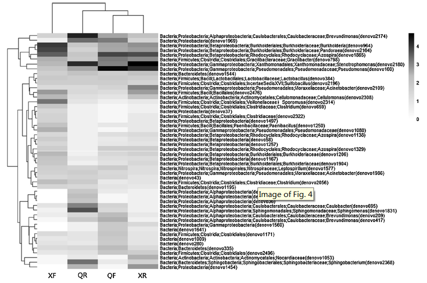 微生物多樣性分析之熱圖