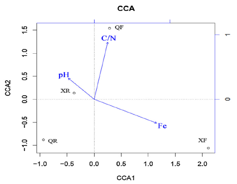 微生物多樣性分析之CCA