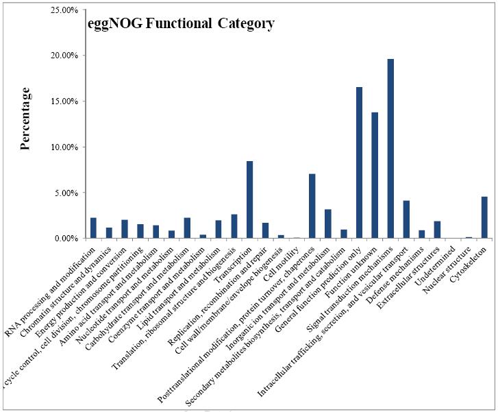 轉錄組測序之大黃魚eggNOG基因功能注釋圖