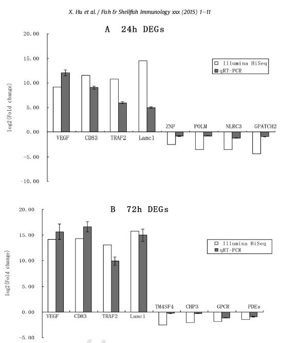鱖魚轉錄組測序qPCR驗證柱狀圖