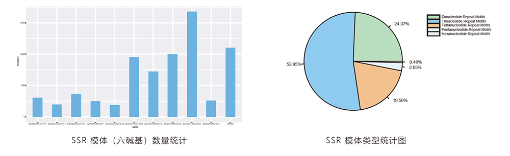 SSR分子標記開發分析結果.jpg