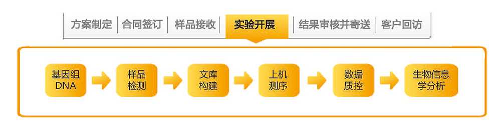 人基因組重測序技術(shù)路線.jpg