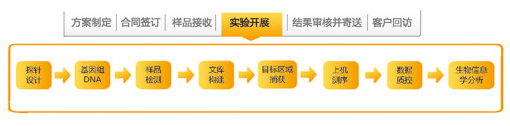 目標區域捕獲測序技術路線.jpg