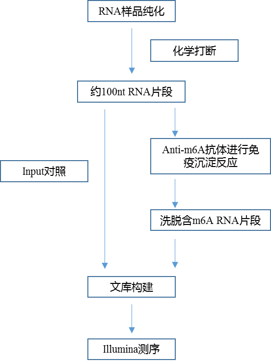 RNA甲基化技術路線.png