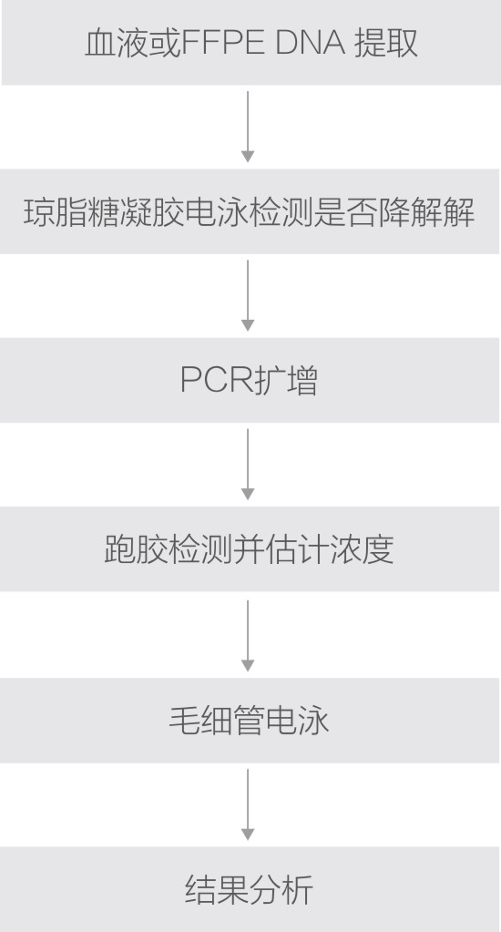 MSI微衛(wèi)星技術(shù)路線.jpg