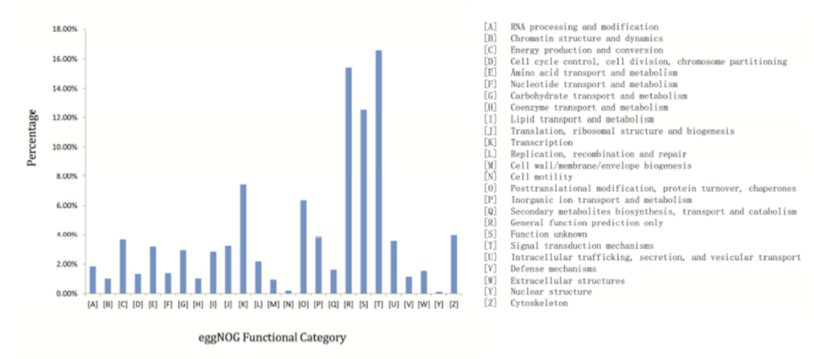 eggNOG基因功能注釋