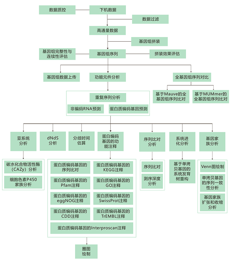 真菌基因技術路線.jpg