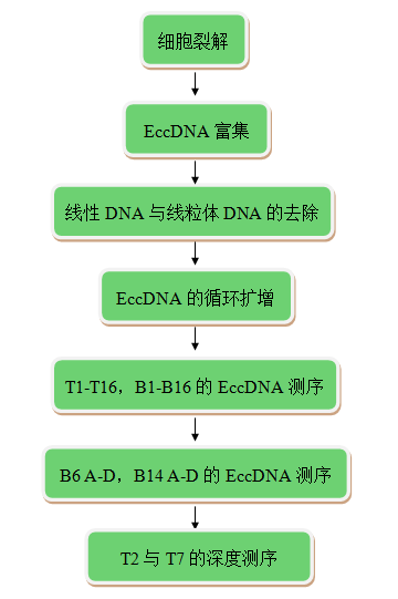 捕獲1.PNG