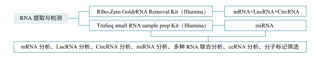 項目流程.png