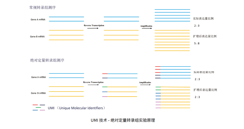 產品介紹2.png