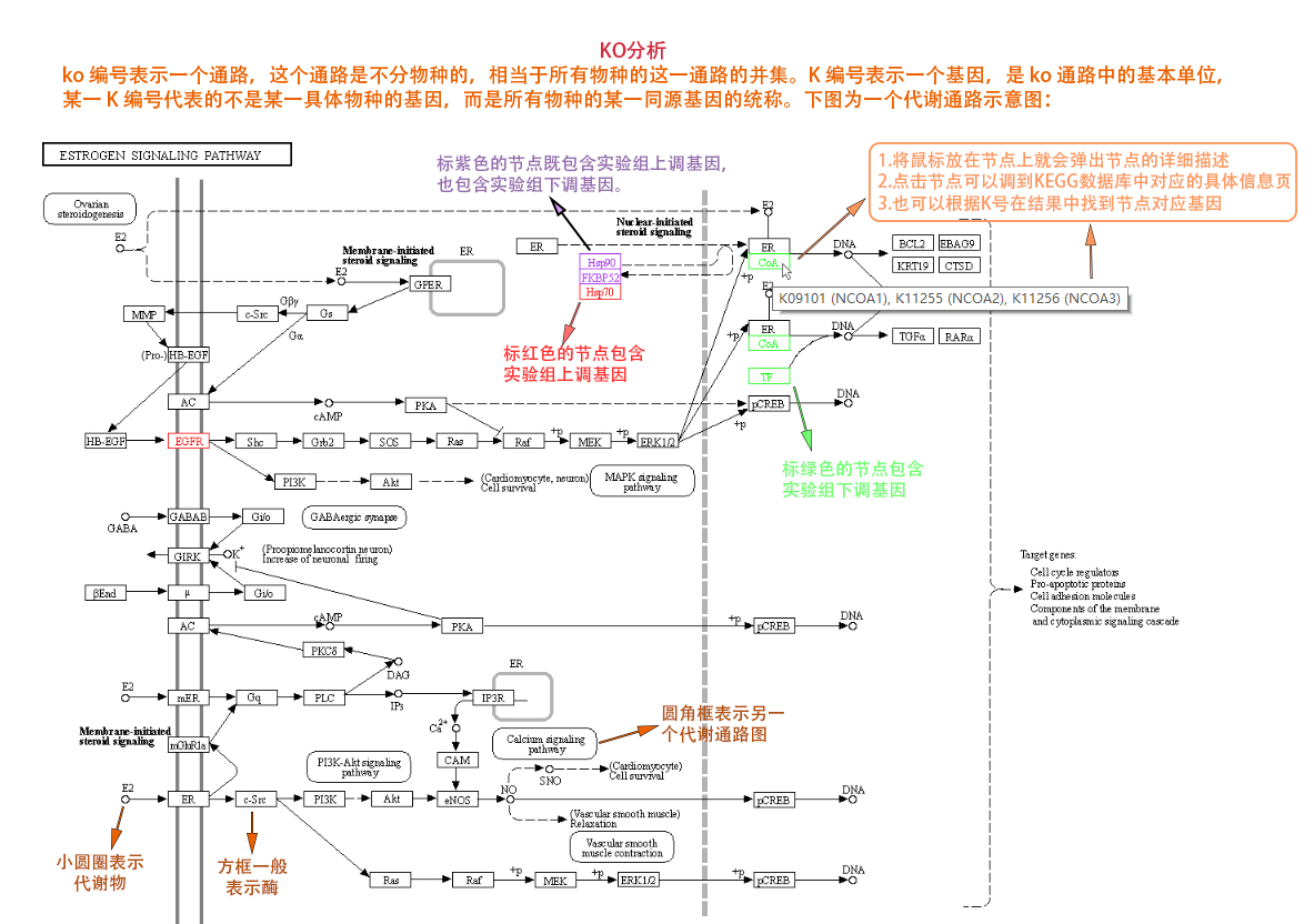 圖片16.png