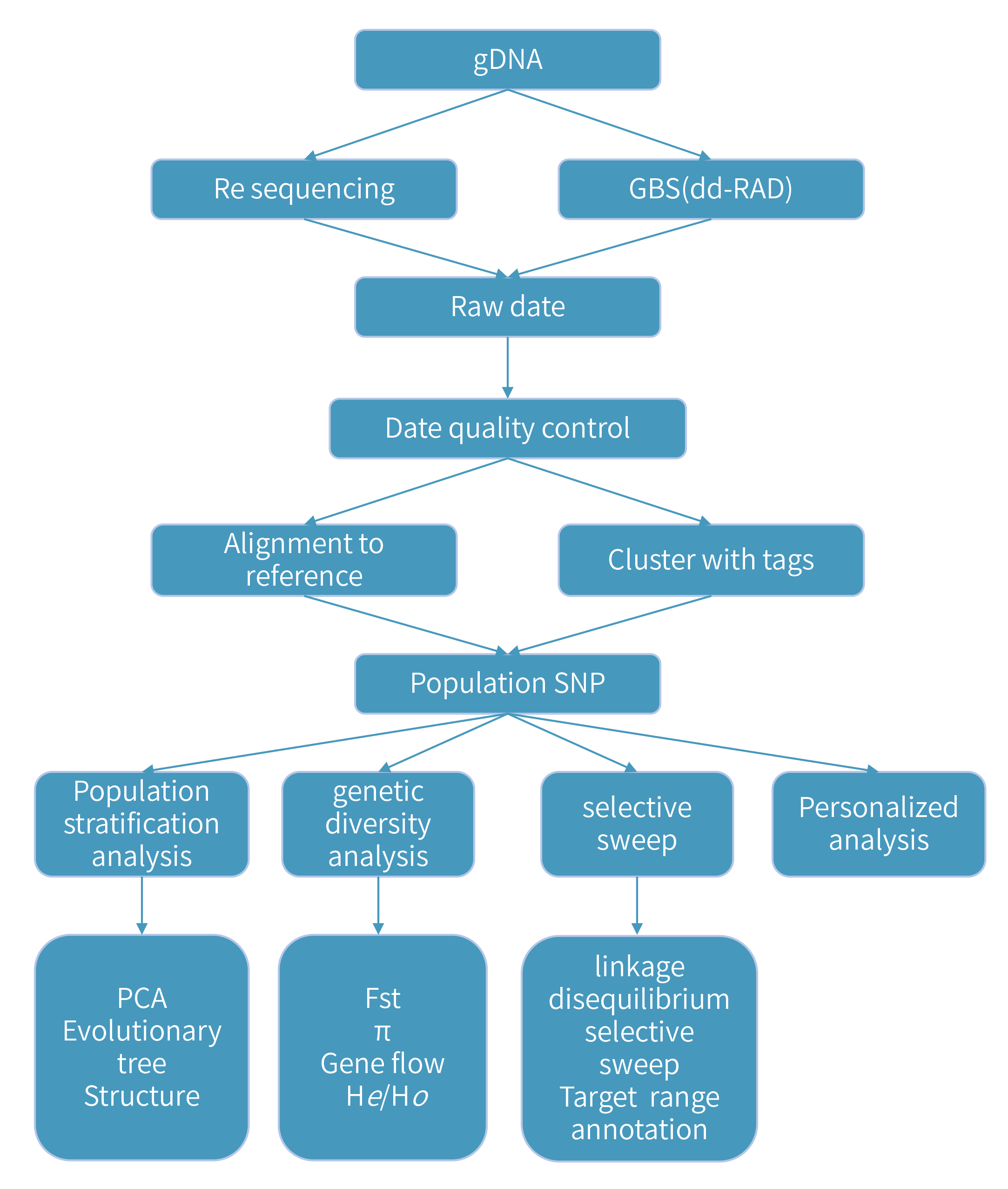 Genetic Evolutionary技術(shù)路線.png