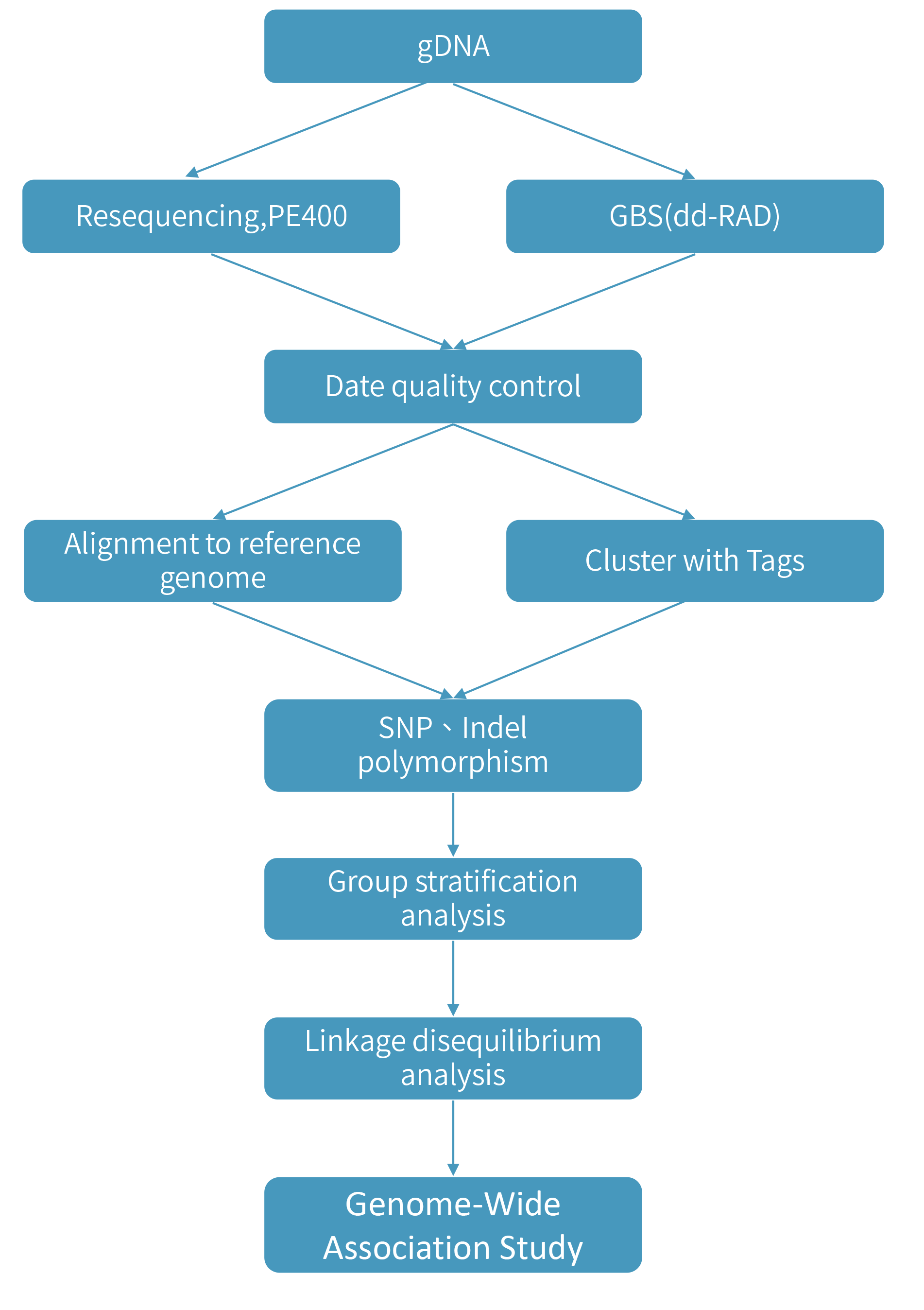 Genome-Wide Association Study組技術路線.png