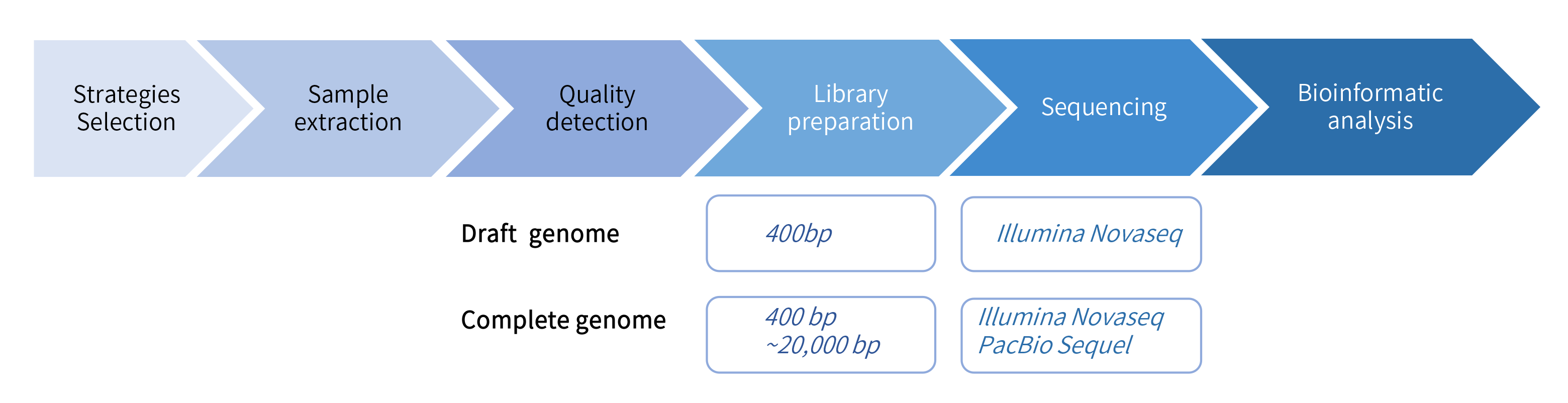 Fungus de novo sequencing-項目流程.png