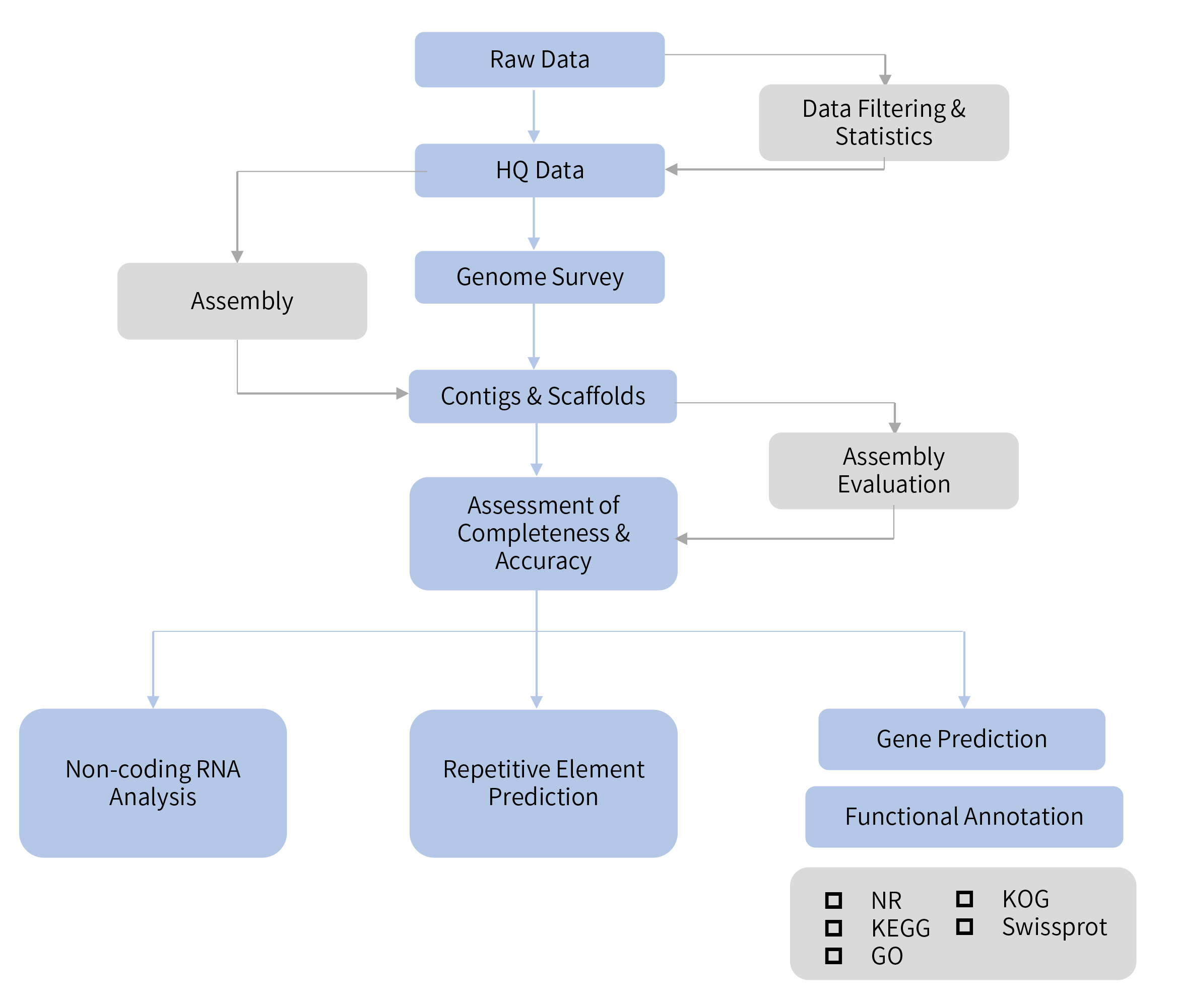 Fungus de novo sequencing-技術路線.png