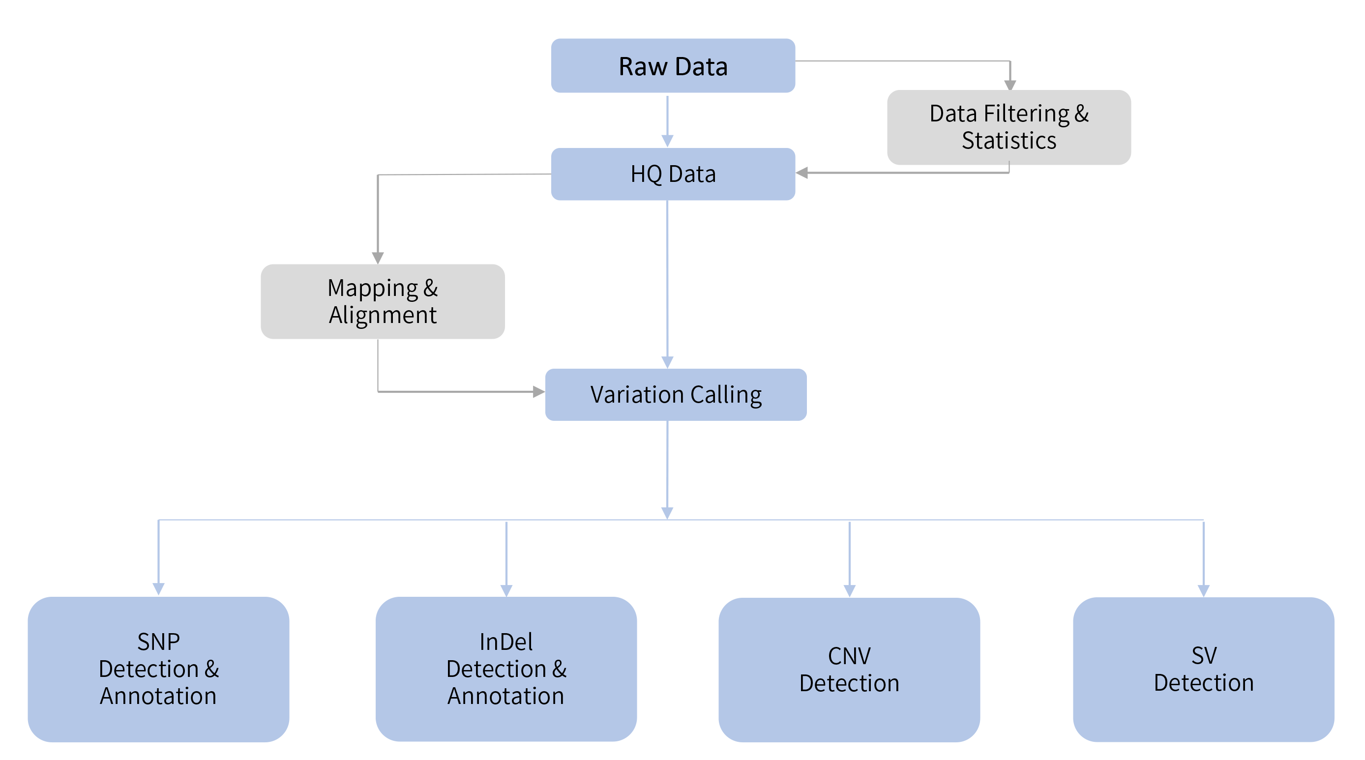 Fungus resequencing-技術路線.png