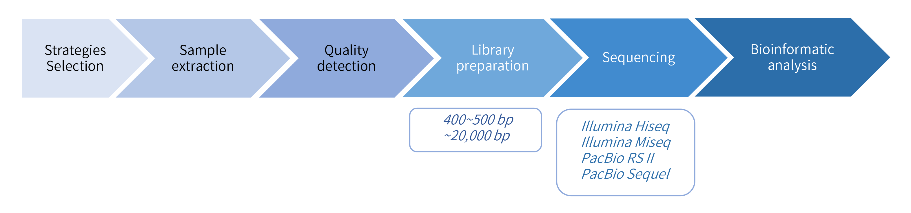 Plasmid sequencing-項目流程.png