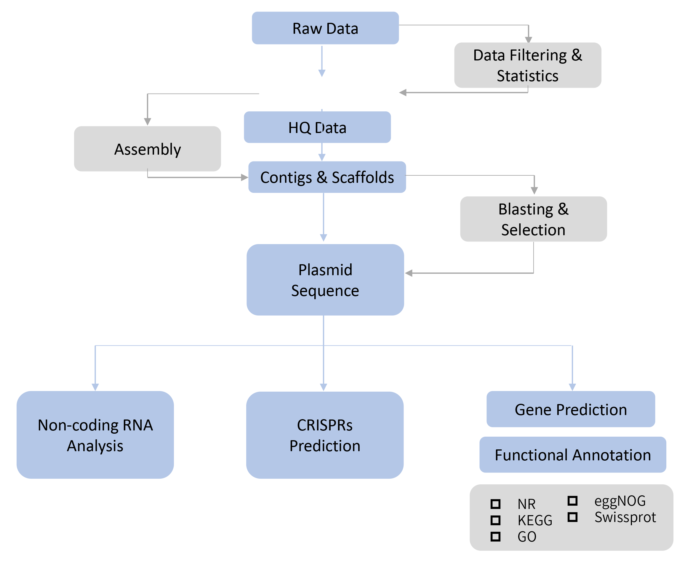 Plasmid sequencing-技術路線.png