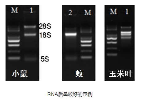 圖片2.png