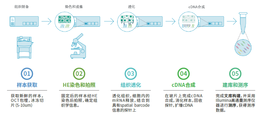 圖片 5.png