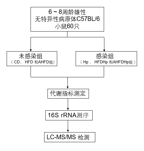 圖片2.png