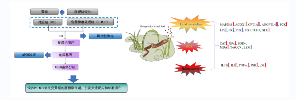 未命名1706059550.png