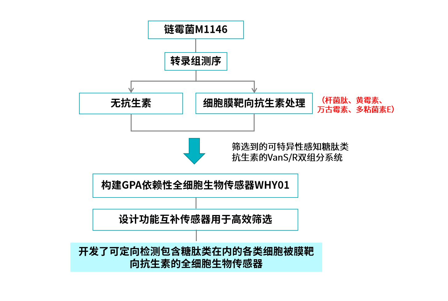 技術路線.png