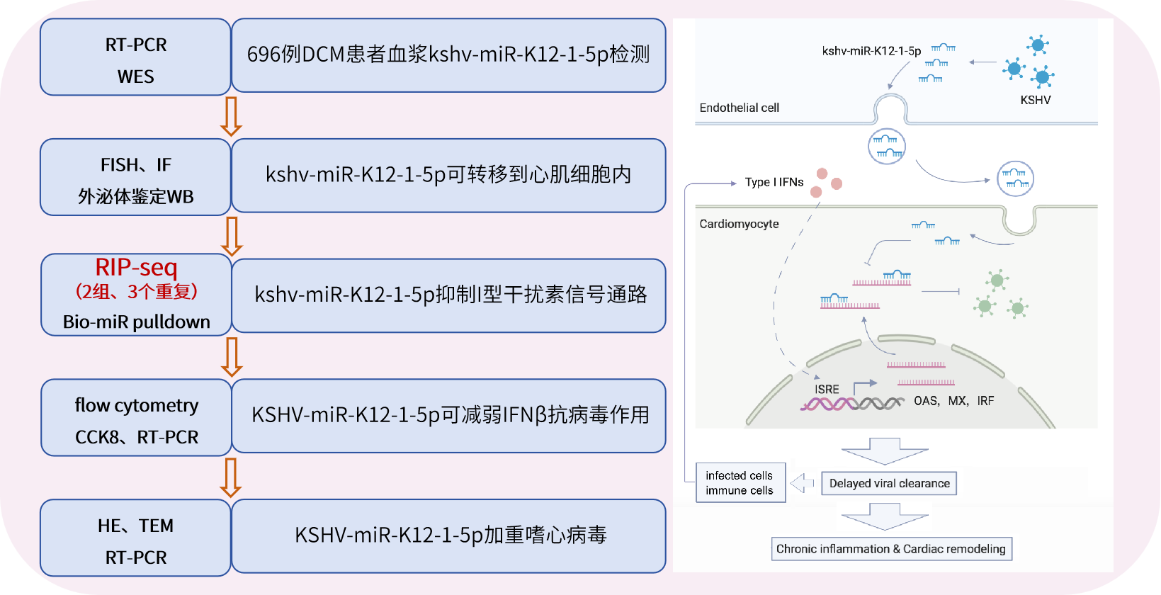 技術(shù)路線.png