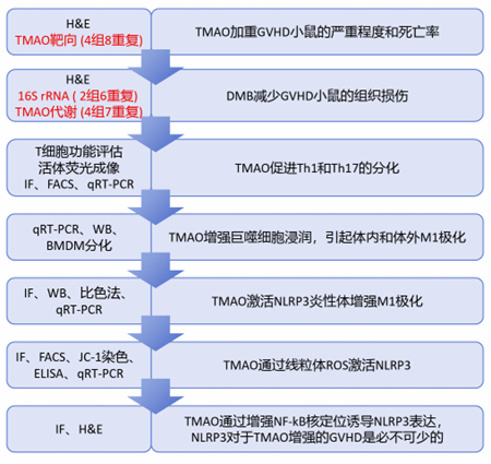 圖片5.png