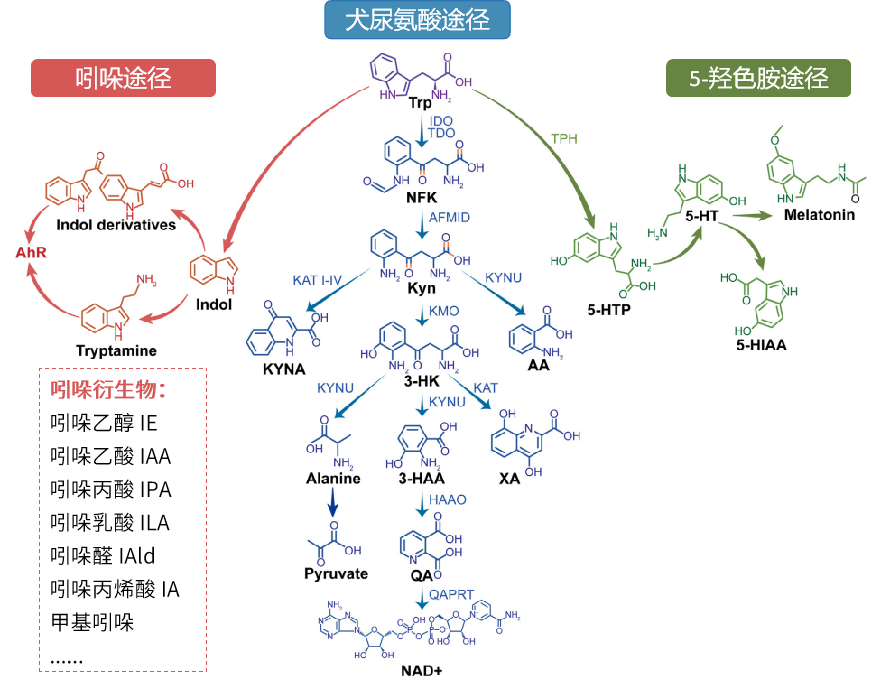 圖片2.png