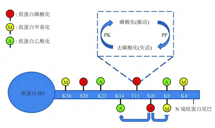 圖片10.png